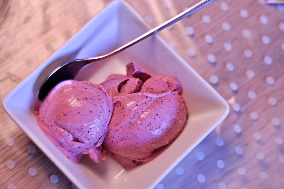 blueberry frozen yoghurt - Emily
