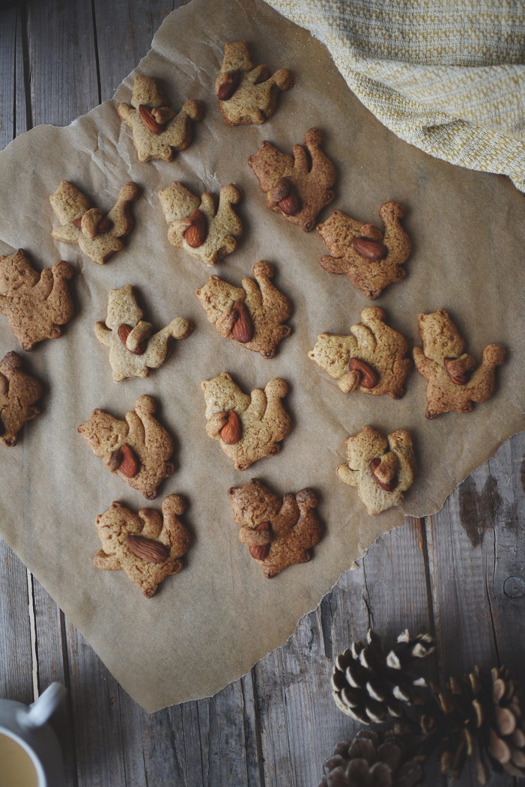 Færøerne nedenunder skildpadde Gingerbread cookies uden sukker - Emily Salomon